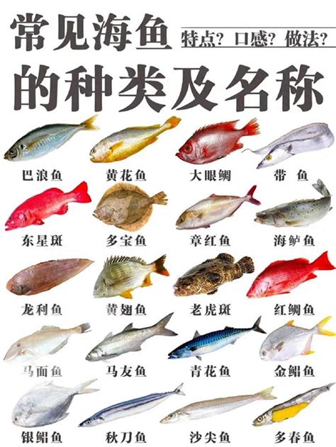 大型觀賞魚圖鑑|觀賞魚(具有觀賞價值的魚類):種類,金魚,海水魚,脂鯉科,花鱂科,攀。